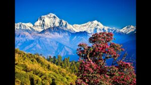 Nepal Tour Package