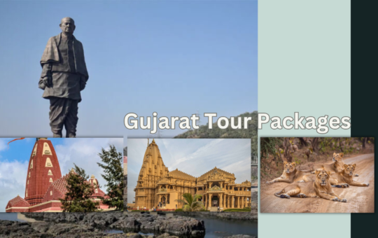 Gujarat Tour Packages