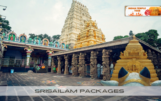 Srisailam Packages