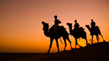 Rajasthan Family Tour Packages from Mumbai