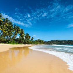 Sri Lanka Holiday Packages