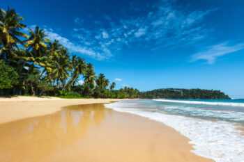 Sri Lanka Holiday Packages