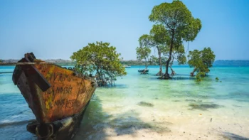 Andaman Tour Package 3 Nights 4 Days