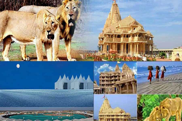 Gujarat Tour Packages from Varanasi - Indian Temple Tour