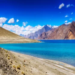 Nubra Valley and Pangong Lake Tour