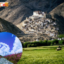 Ladakh with Valley of Flowers (Nubra) & Pangong Lake Package